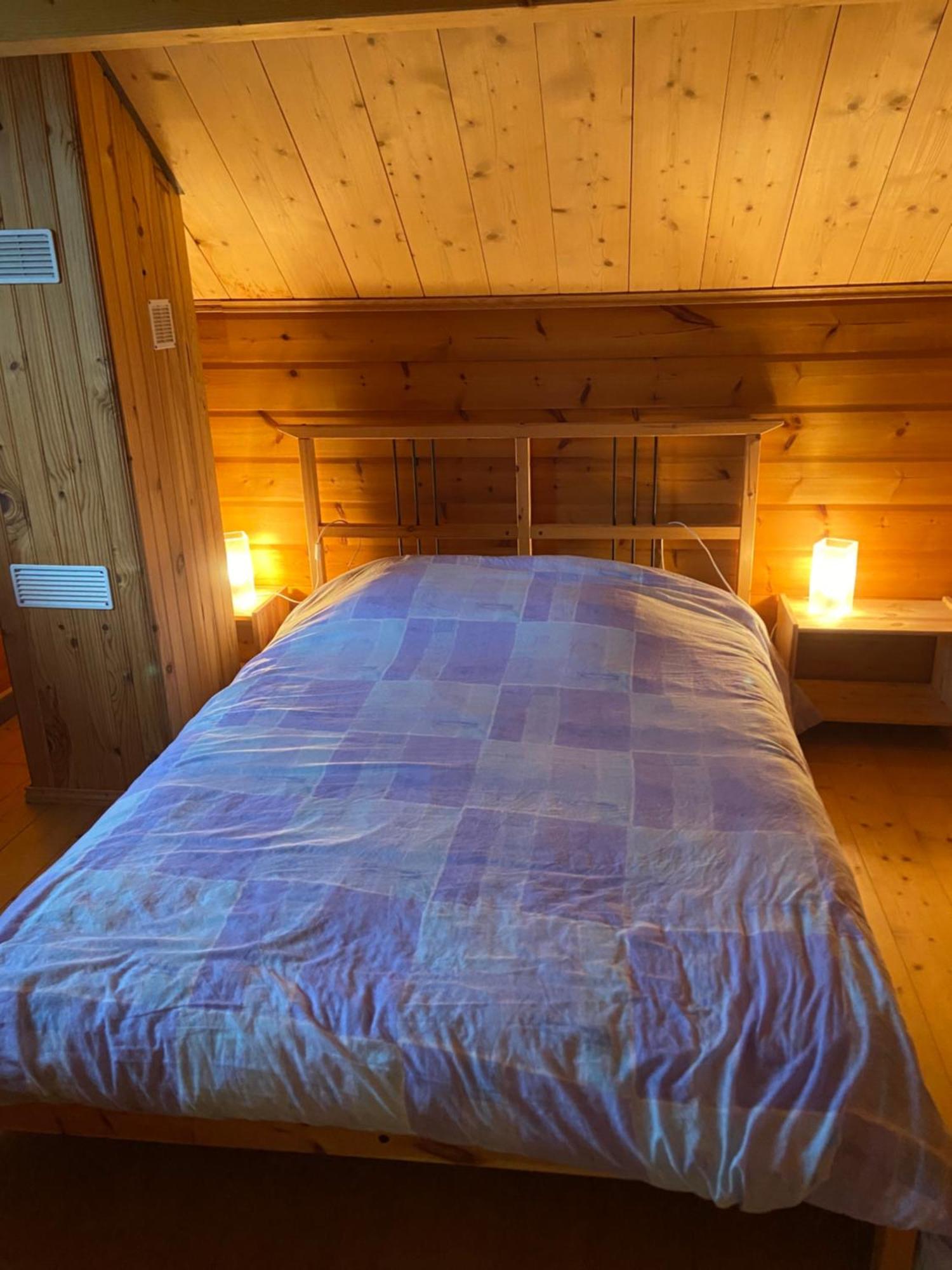 Chalet Aster 3 Etoiles Arrentès-de-Corcieux Buitenkant foto